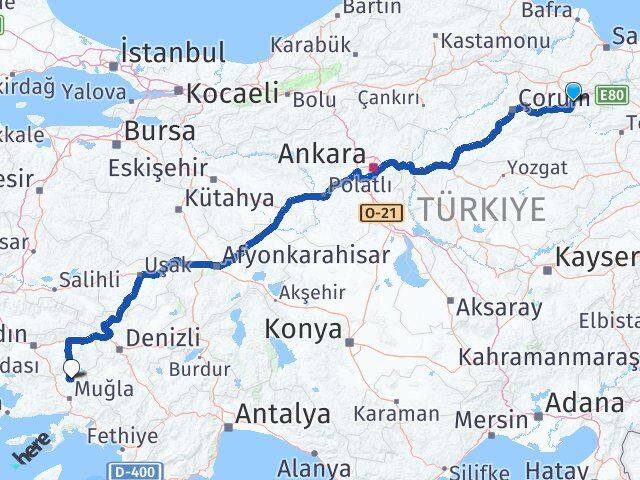 Amasya Kavaklıdere Muğla Arası Kaç Km - Yol Haritası