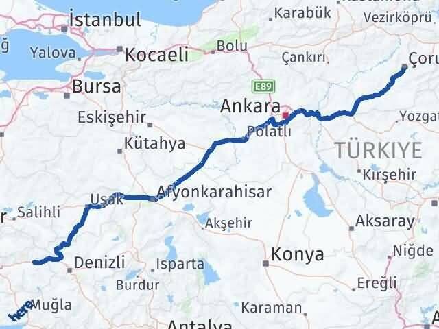 Çorum Kuyucak Aydın Arası Kaç Km - Yol Haritası
