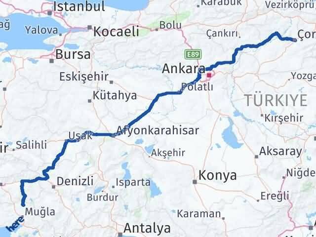 Muğla Kavaklıdere Çorum Arası Kaç Km - Yol Haritası