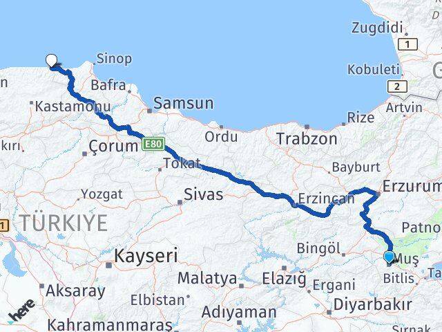 Muş Çatalzeytin Kastamonu Arası Kaç Km - Yol Haritası