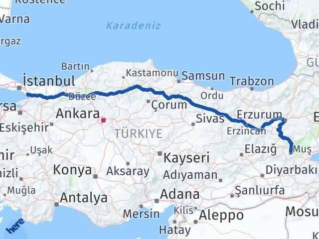 Muş Çayırova Kocaeli Arası Kaç Km - Yol Haritası