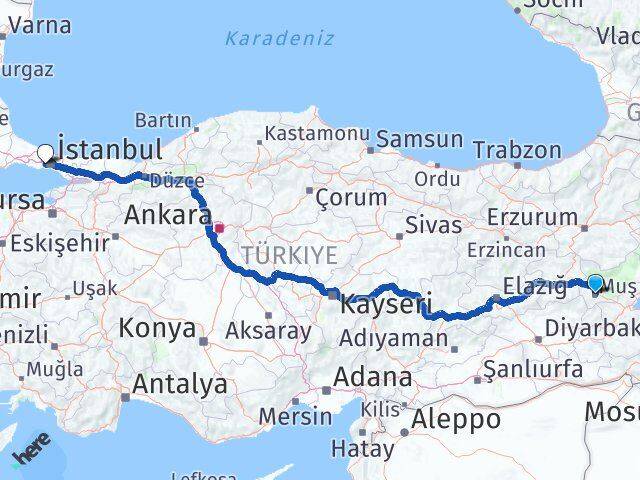 Muş Güngören İstanbul Arası Kaç Km - Yol Haritası