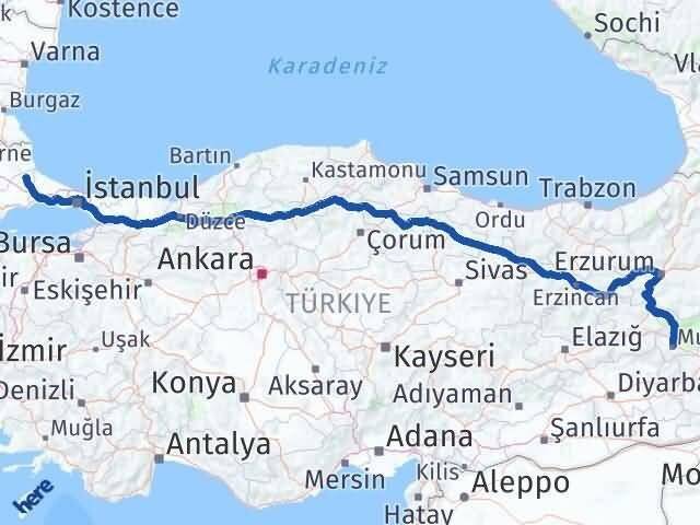 Muş Saray Tekirdağ Arası Kaç Km - Yol Haritası