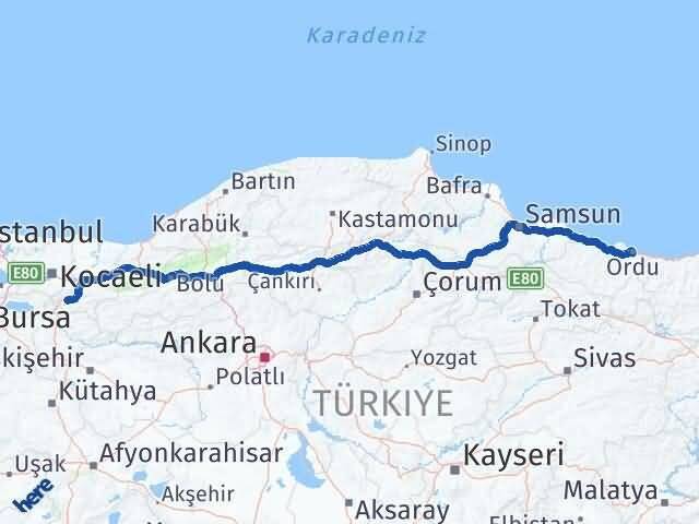 Ordu Pamukova Sakarya Arası Kaç Km - Yol Haritası