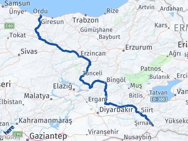 Şırnak Altınordu Arası Kaç Km - Yol Haritası